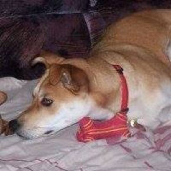 Meet your Posher, Samantha - Picture 1 of 1